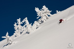 Backcountry_Skiing_Powder-01